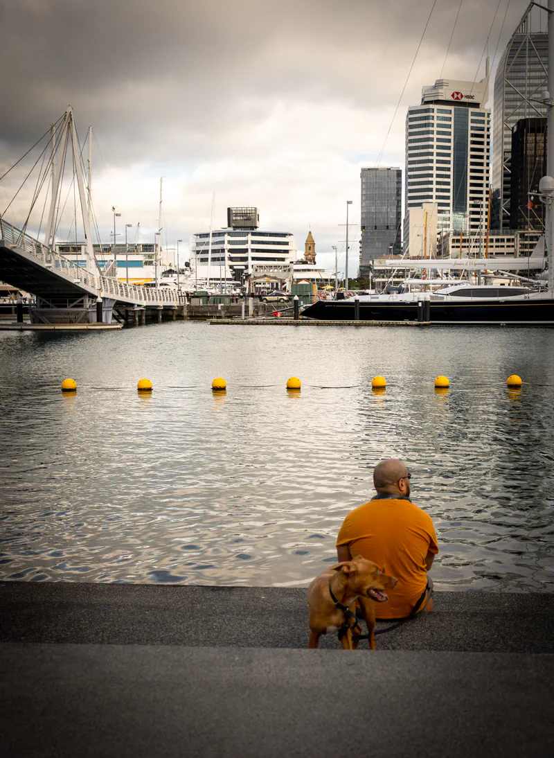 Photography of collection Auckland
