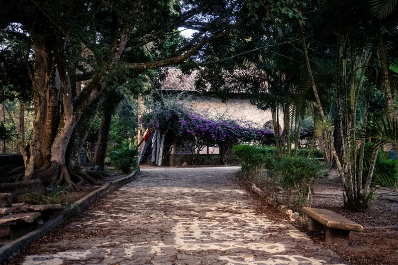 Photography of collection Honduras