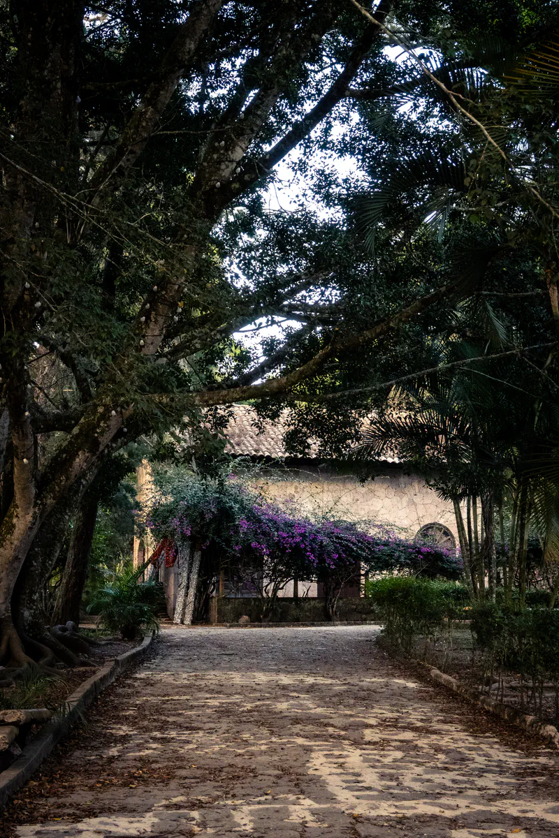 Photography of collection Honduras
