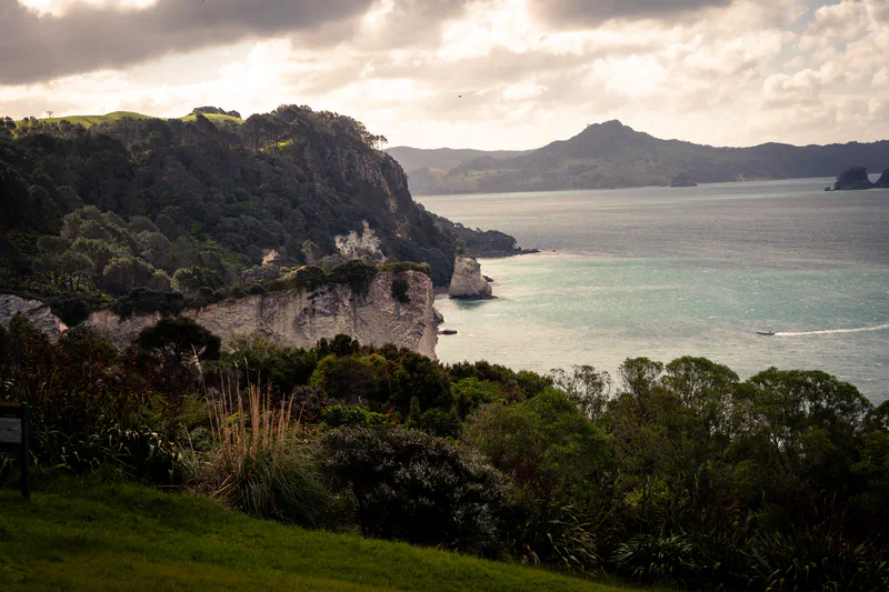 Photography of collection North Island, NZ