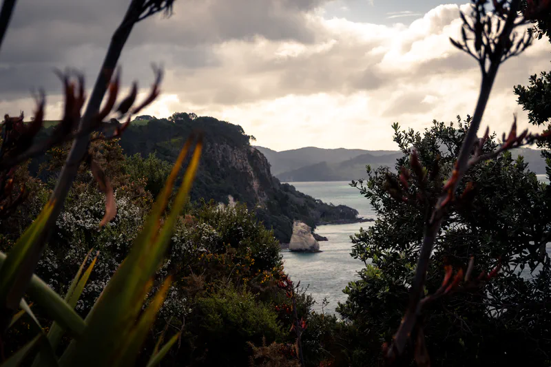 Photography of collection North Island, NZ