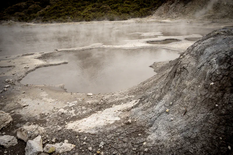 Photography of collection North Island, NZ