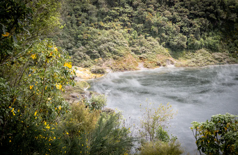 Photography of collection North Island, NZ